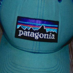 Patagonia Cap